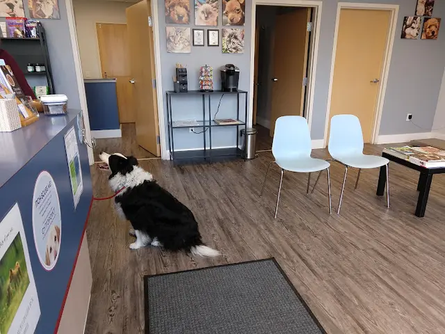 Pet vet Cedar River Animal Hospital Kent
