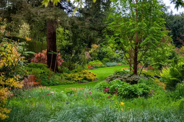 Rescue & Shelter PowellsWood Garden Federal Way