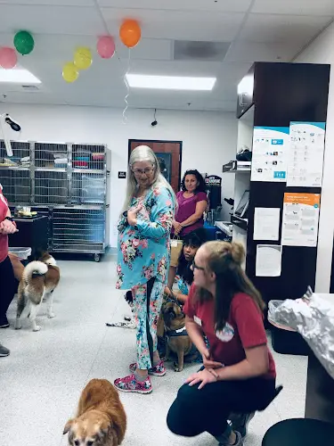 Pet vet Rancho Pet Hospital Sacramento