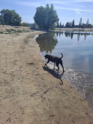 Dog Park Truxtun Lake Bakersfield