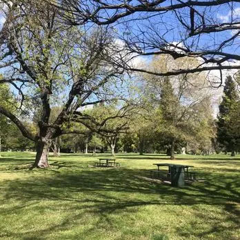 Dog Park William Land Regional Park Sacramento
