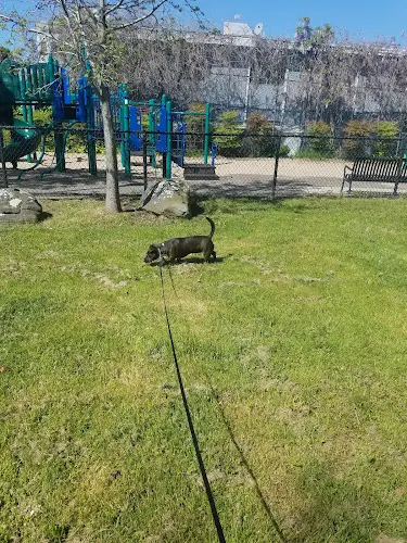 Dog Park Berkeley Way Mini-Park Berkeley