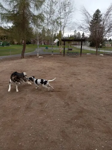 Dog Park Cherry Hill Dog Park Spokane