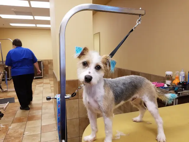 Dog breeder PetSmart Clovis