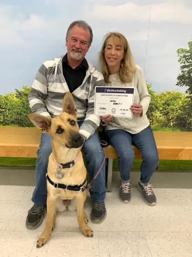 Pet vet Petco Orange