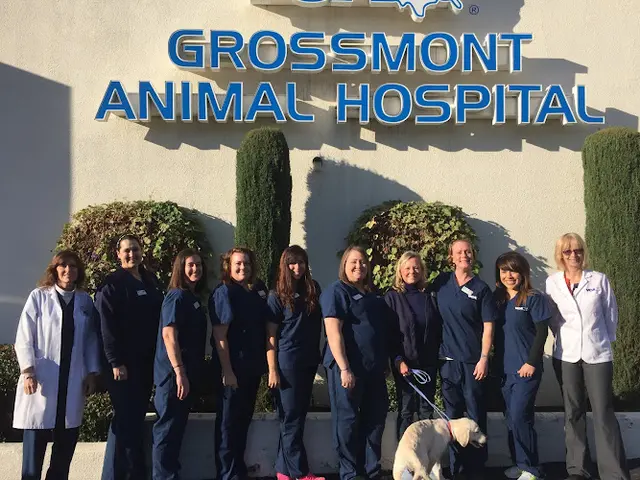 Pet vet VCA Grossmont Animal Hospital El Cajon