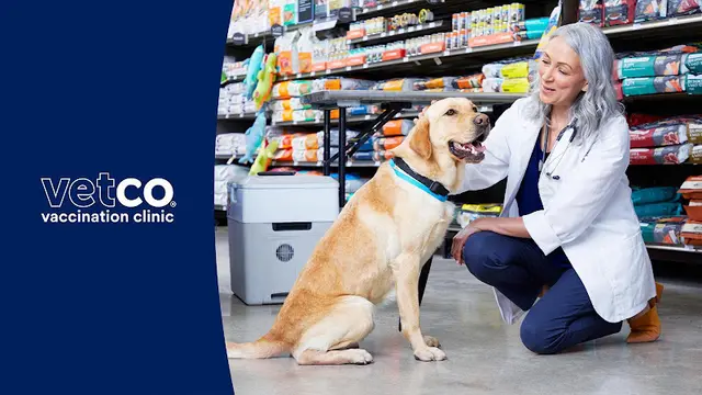 Pet vet Petco Vaccination Clinic Westminster