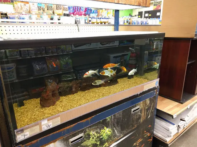 Pet vet Petco Sacramento