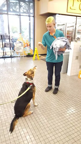 Rescue & Shelter Pet Food Express Sunnyvale