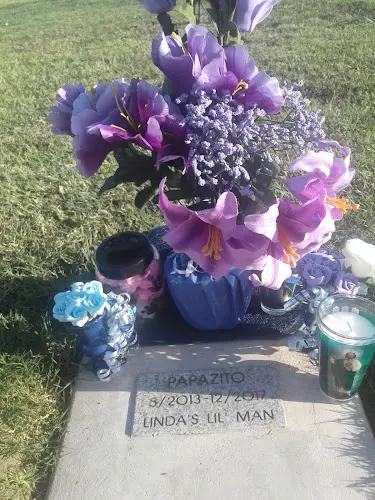 Pet vet Fresno Pet Cemetery Fresno