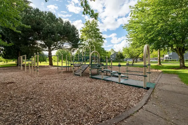 Dog Park Jaggy Road Park Vancouver