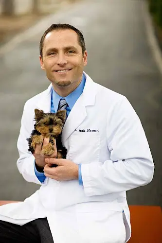 Pet vet Irvine Pet Complex Orange