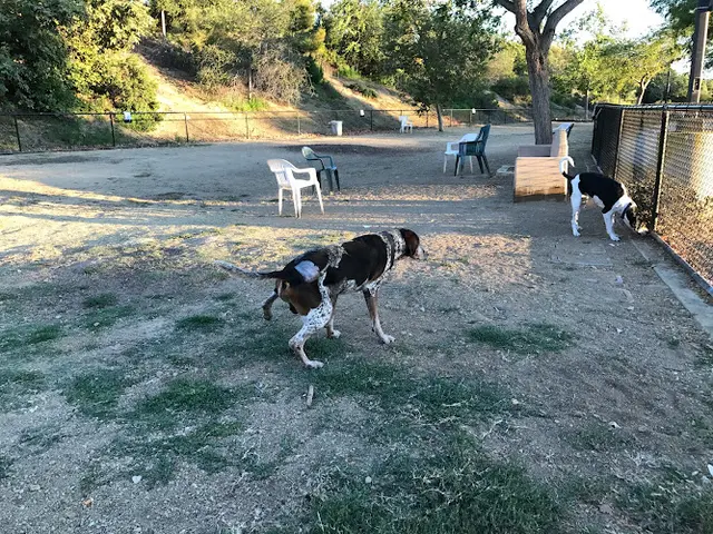 Dog Park Nobel Leash-Free Park Temecula