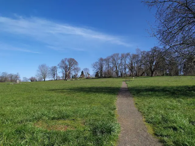 Dog Park Bertelsen Nature Park Eugene
