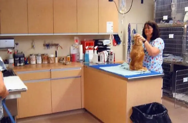 Pet boarding service VCA Rancho Mirage Animal Hospital Indio