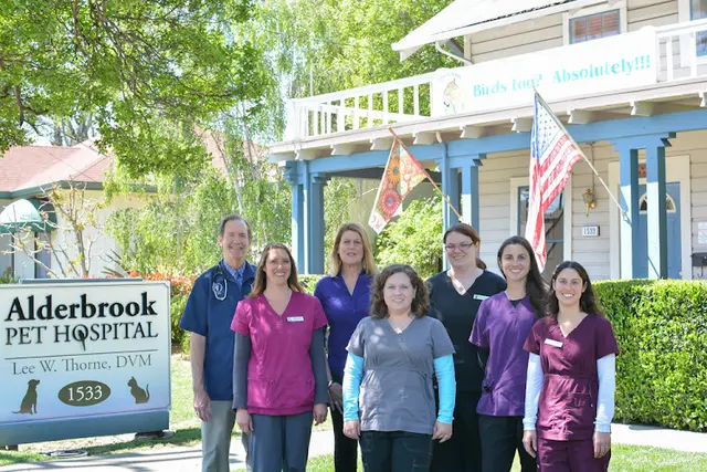 Dog day care center Alderbrook Pet Hospital Santa Rosa