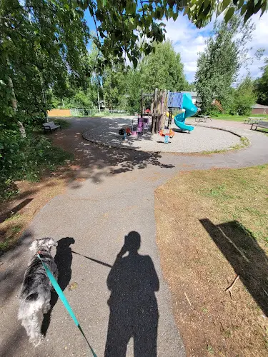 Dog Park Castle Heights Park Anchorage