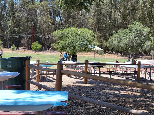 Dog Park Pioneer Park Santa Maria