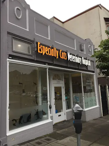Dog day care center Especially Cats Veterinary Hospital, A Thrive Pet Healthcare Partner San Francisco