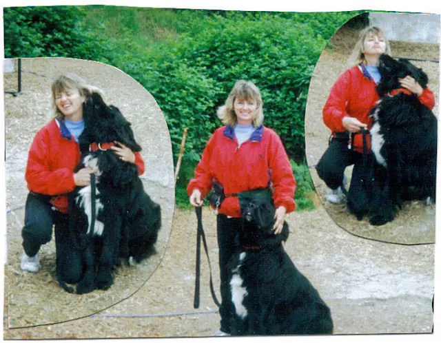 Dog trainer Wizards of Paws Dog Training Indio