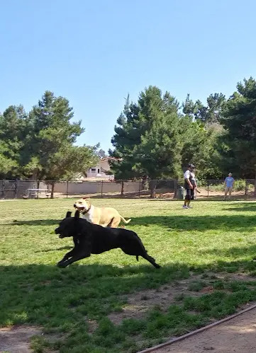 Dog Park Eastview Park Carson