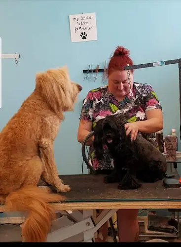 Dog Grooming Devils to Angels Dog Grooming Spokane Valley