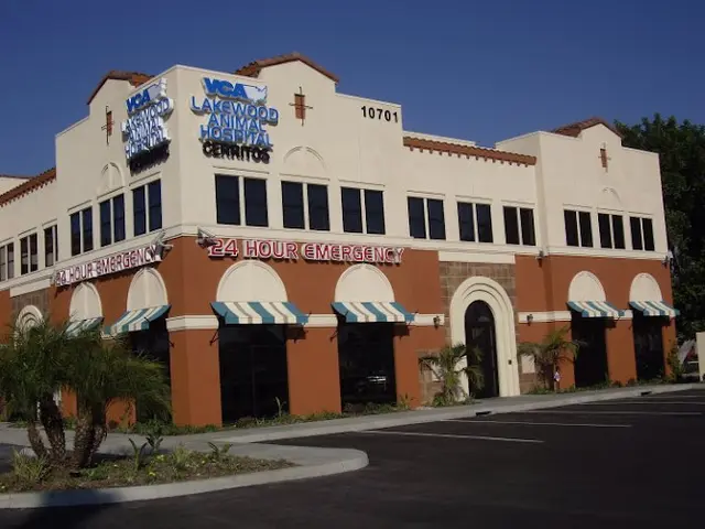 Pet vet VCA Lakewood Animal Hospital West Covina