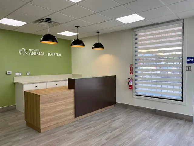 Pet vet Norwalk Animal Hospital Carson