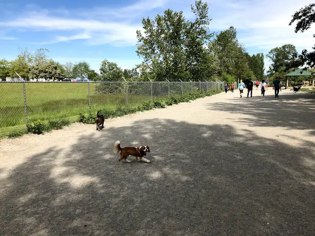 Dog Park Warren G. Magnuson Park Off Leash Area Kirkland