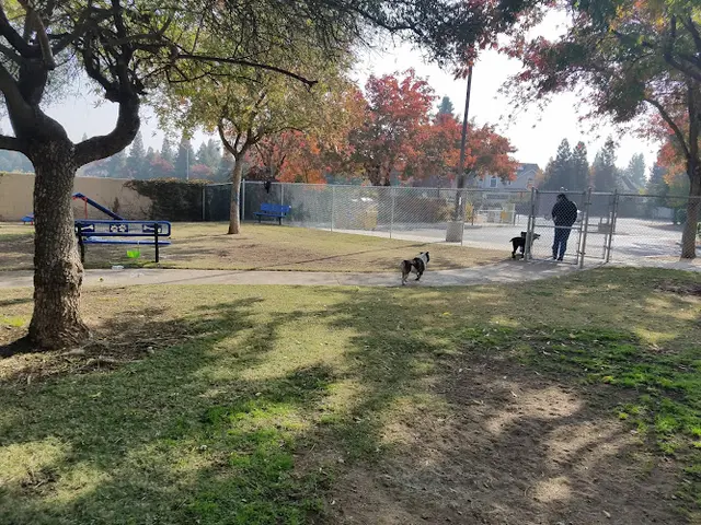 Dog Park Bob Belcher Park Fresno