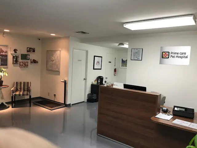 Pet vet Prime Care Pet Hospital Fullerton