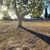Dog Park Dog Park at Seccombe Lake San Bernardino