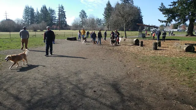 Dog Park Dakota Dog Park Vancouver