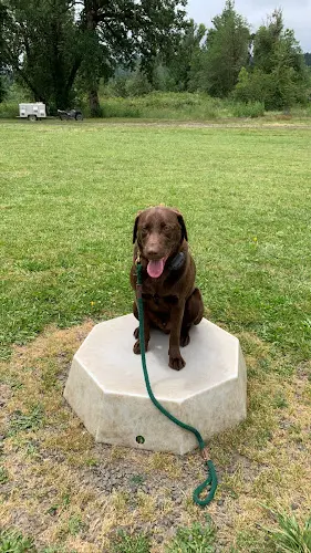 Dog trainer Coyote Creek Retrievers Eugene