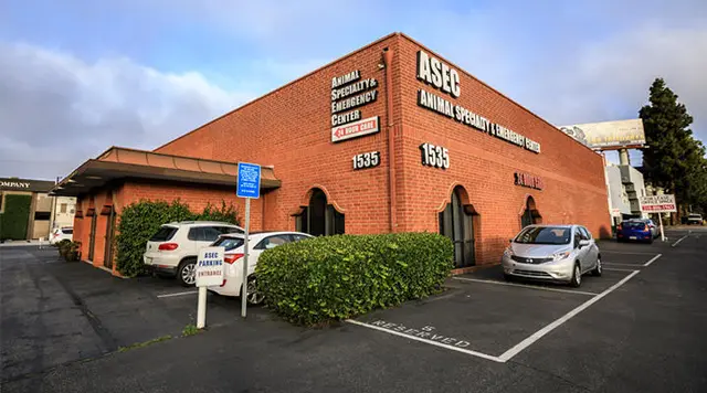 Pet vet VCA ASEC Santa Monica