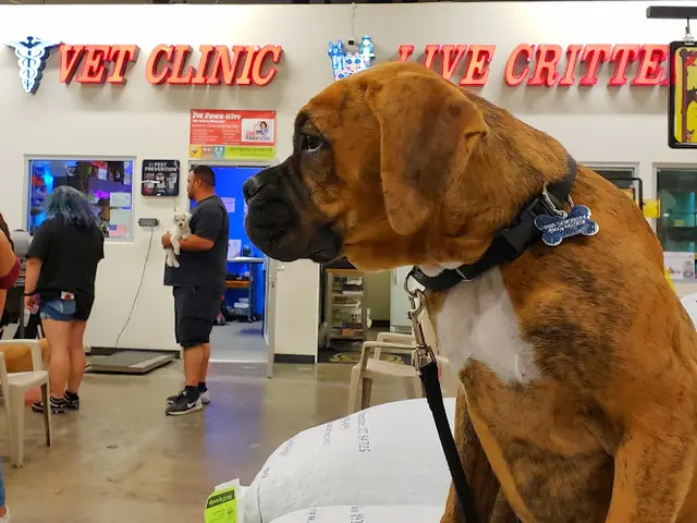 Pet vet Theresa's Country Feed & Pet Simi Valley