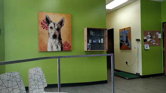 Pet vet Emeryville Vet Hospital Richmond