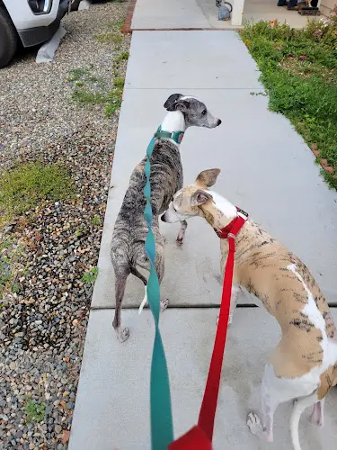 Pet vet Fresno Pet Pleasure Fresno