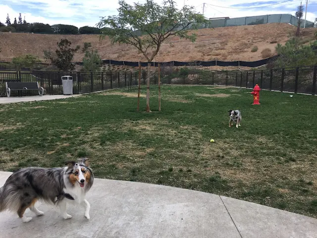 Dog Park Civita Dog Park San Diego