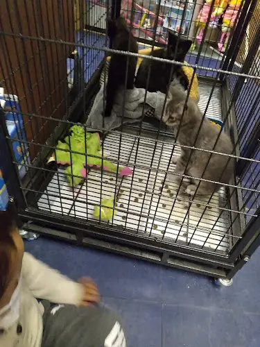 Pet boarding service Pelayo's Feed & Grain Store Jurupa Valley