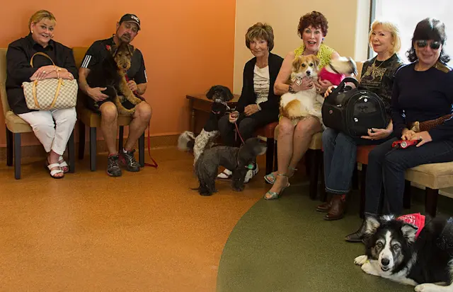 Pet boarding service Country Club Animal Clinic Indio