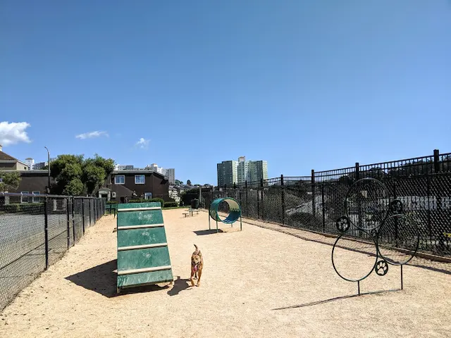 Dog trainer Dog Agility Park Daly City