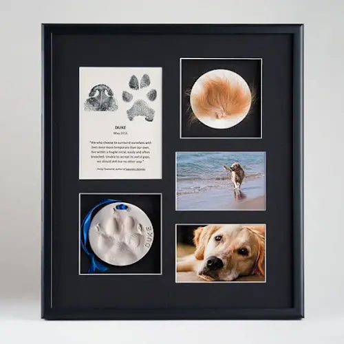Pet vet Radiant Heart After-Care for Pets Bellingham