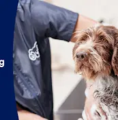 Pet vet Petco Grooming Bellingham