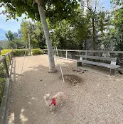 Dog Park Dog park at Wayne’s Way & Shared Dr Inglewood