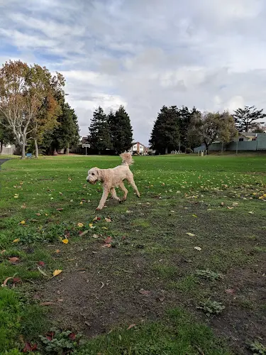 Dog Park Grundy Park Daly City