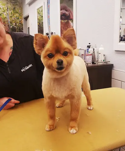 Pet vet PetSmart Vancouver