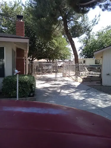 Dog day care center Smith Kennels Lancaster