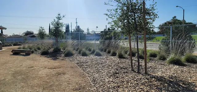 Dog Park Magic Johnson dog park Carson