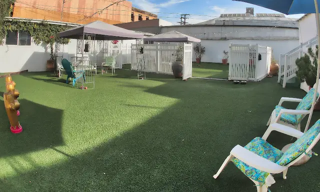 Dog day care center The Club Beverly Hills Los Angeles